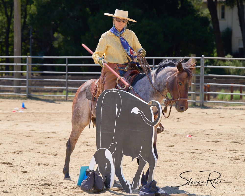 Working Equitation Bull Line