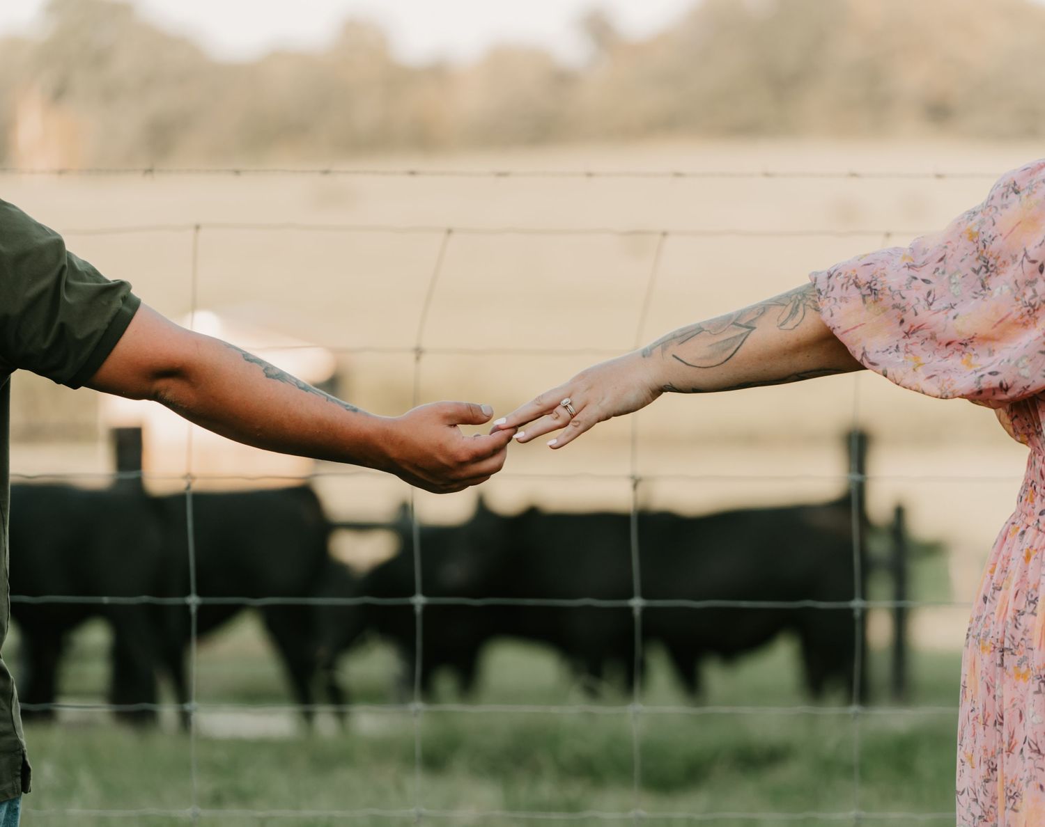 engagement photographer, Milan, TN photographer, Tennessee engagement photographer, wedding photographer, engagement photography, jcbolton