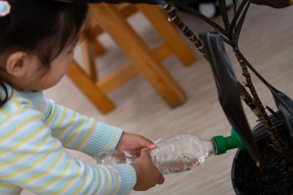 Close-up of hands holding a clear plastic bottle with green cap.