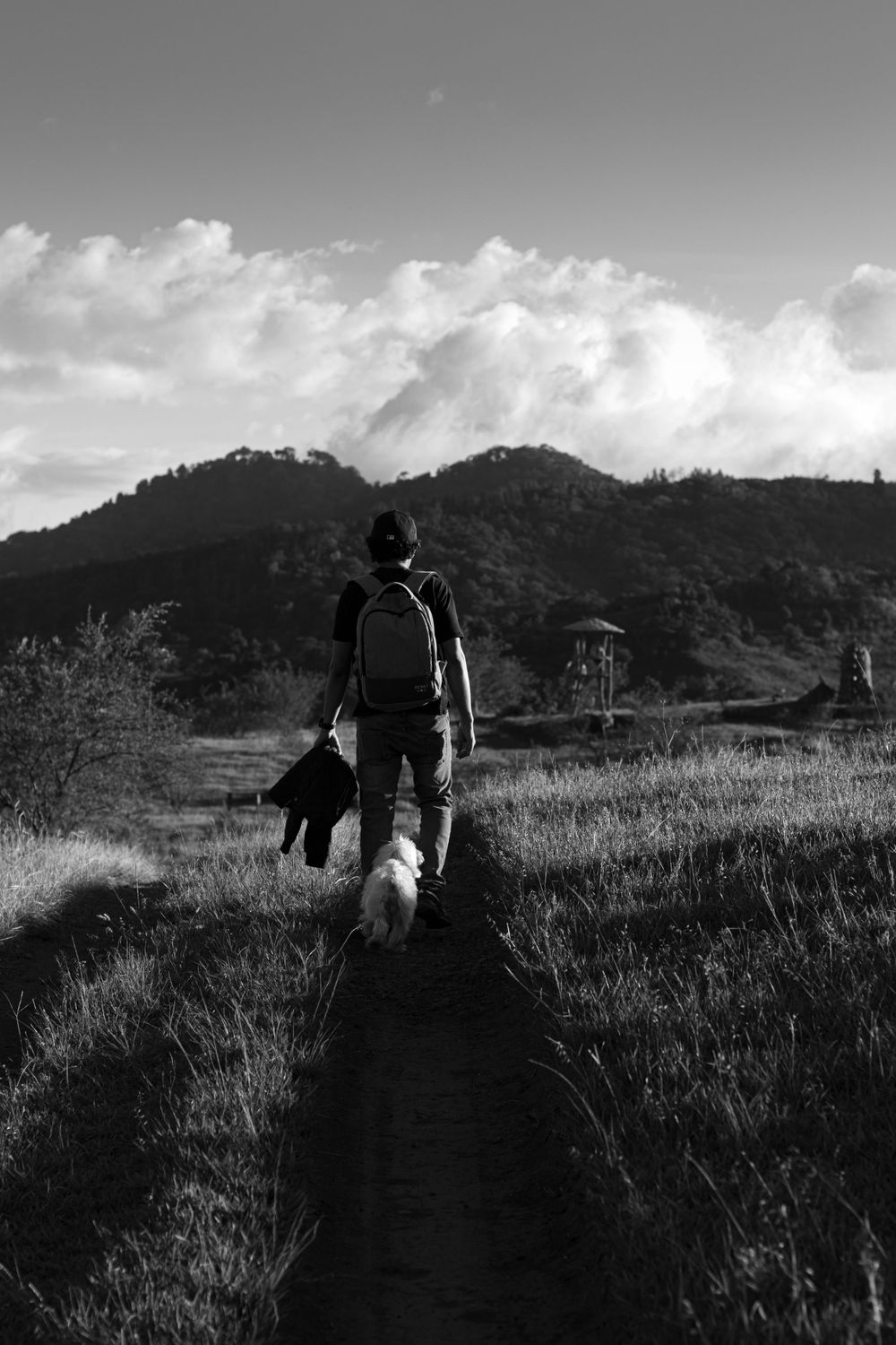 Silhouettes of hikers walking along mountain trail at sunset.