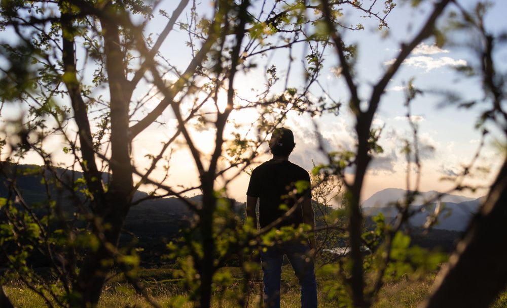 Golden sunset light filtering through tree branches in a natural landscape setting.