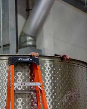 Hands can be seen gripping the edge of a fermentation tank that's being emptied for pressing.