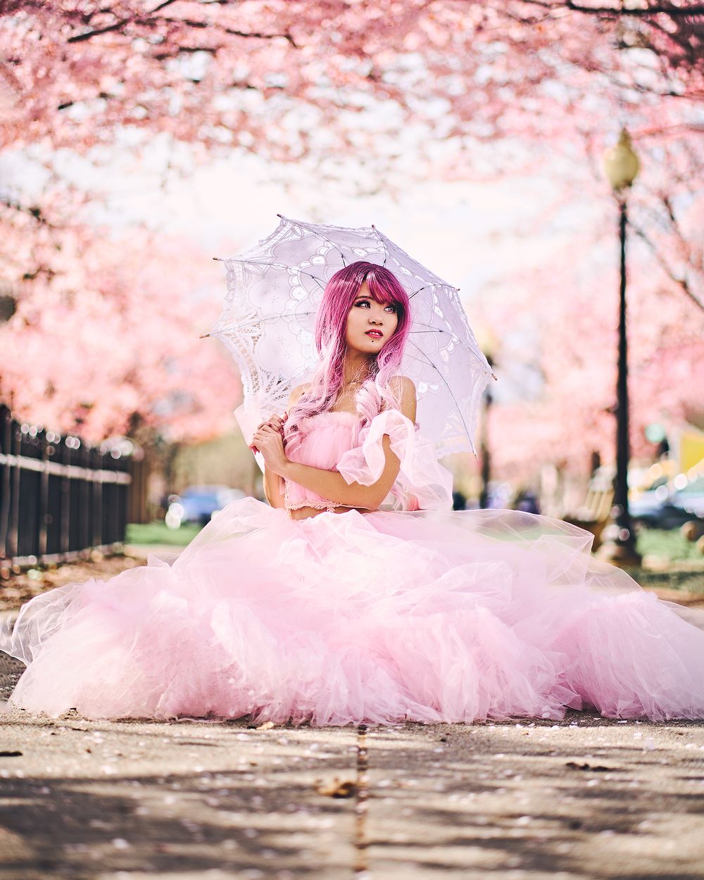 Dreamy spring scene with cherry blossoms and delicate lace parasol in soft pink tones.