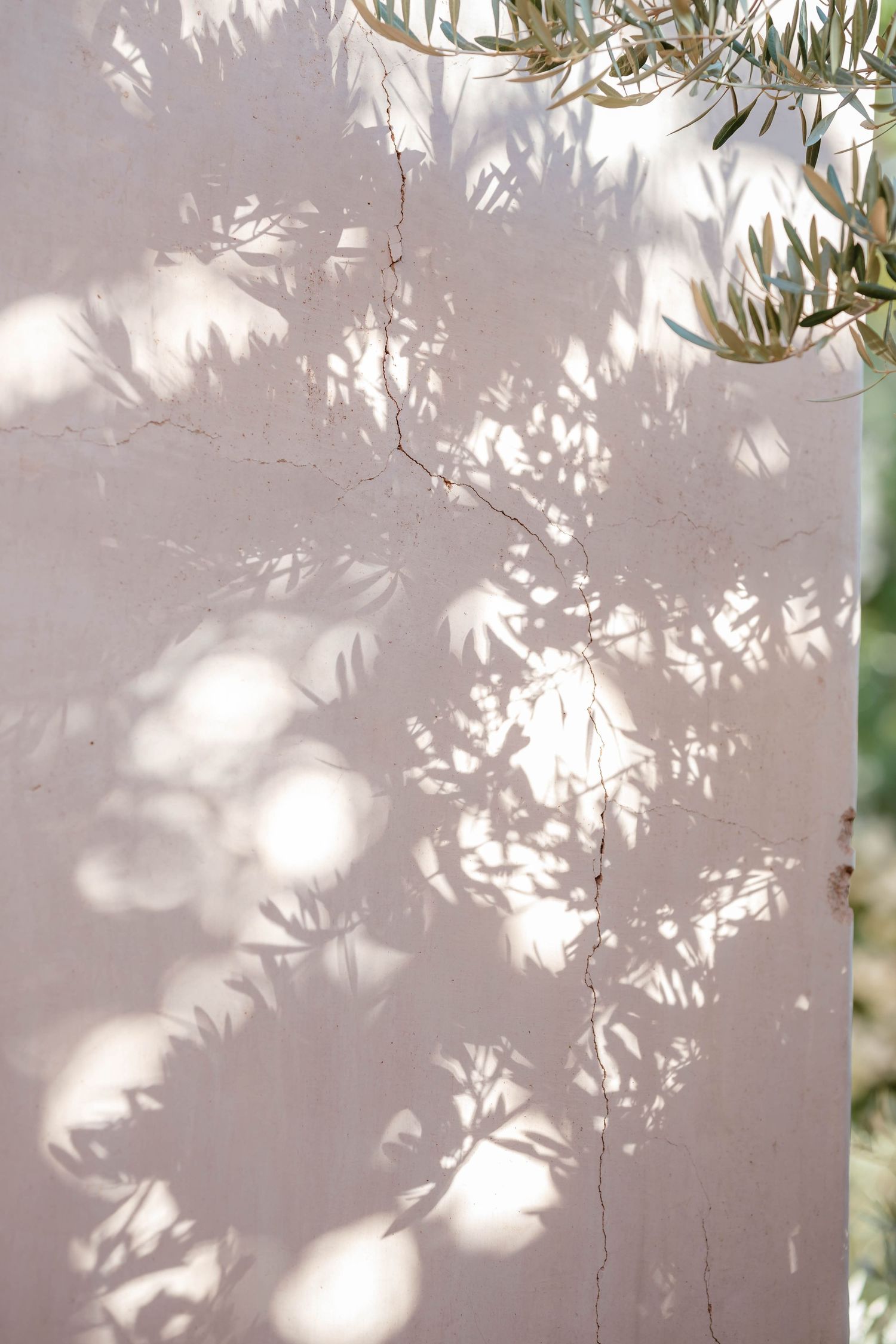 Zara Davis Wedding Photography Destination Elopement Morocco Marrakech Hotel Deux Les Tours Venue