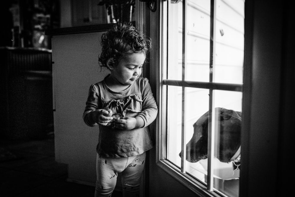 dog and toddler playing