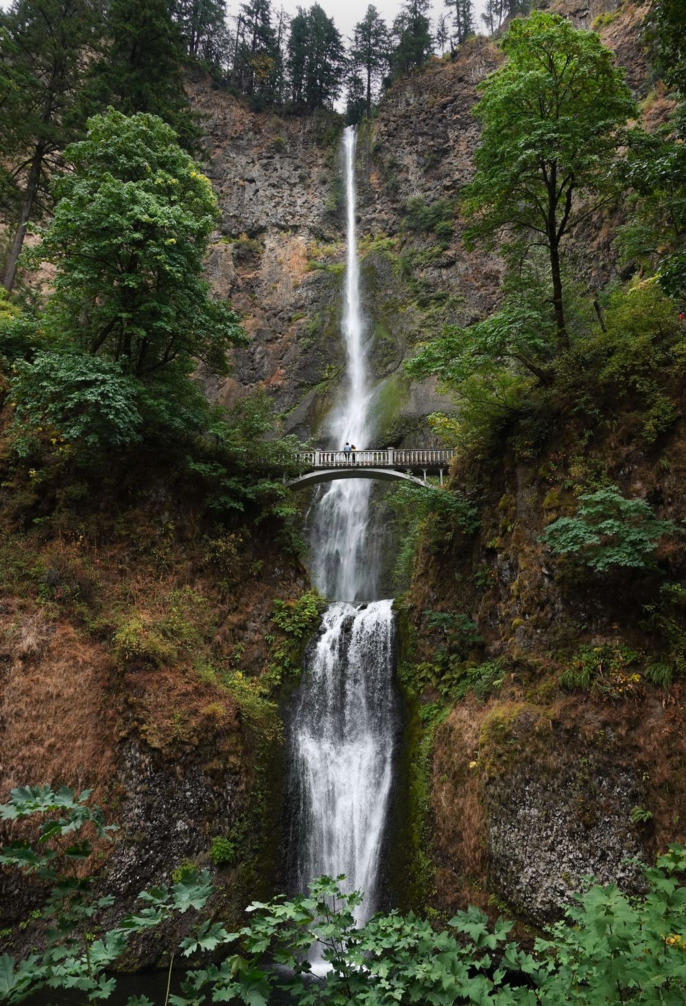 Multnomah Falls cascades dramatically over a footbridge in Oregon's Columbia River Gorge.