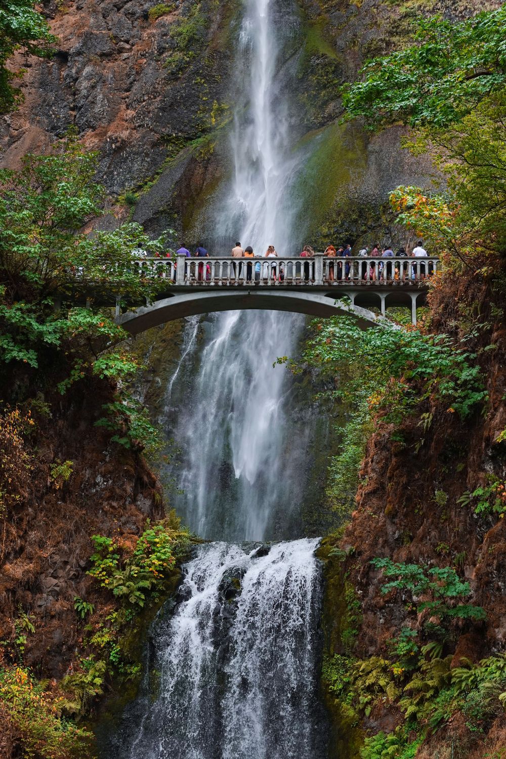 A scenic waterfall flows past a pedestrian bridge surrounded by lush greenery.