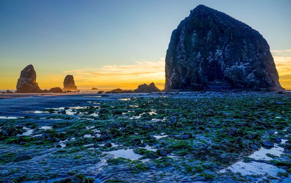 Majestic Haystack Rock towers over moss-covered rocks during sunset at low tide on Cannon Beach.