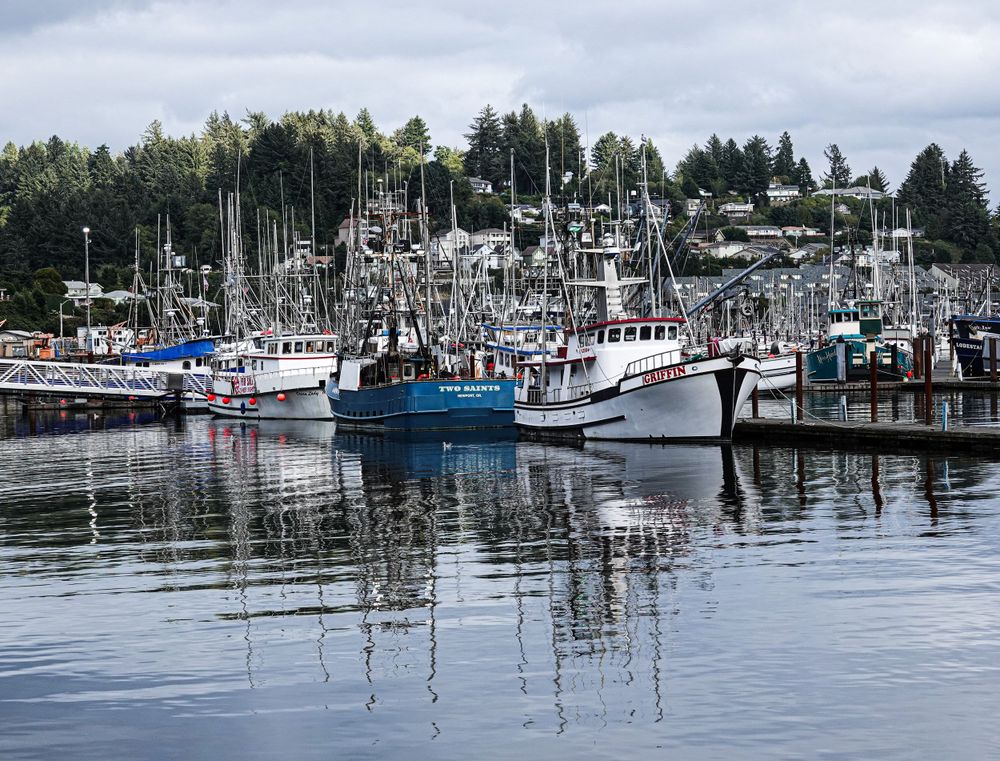 Fishing boats line the docks of a picturesque marina in the Pacific Northwest.