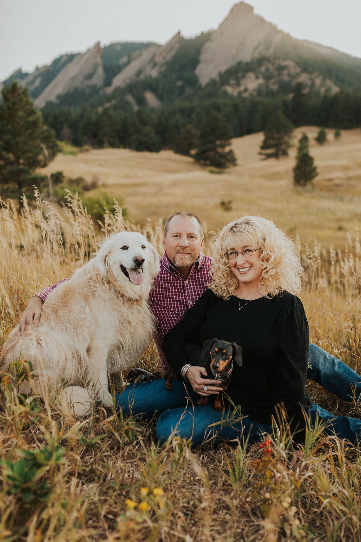 Dog photographer in Northern Colorado.