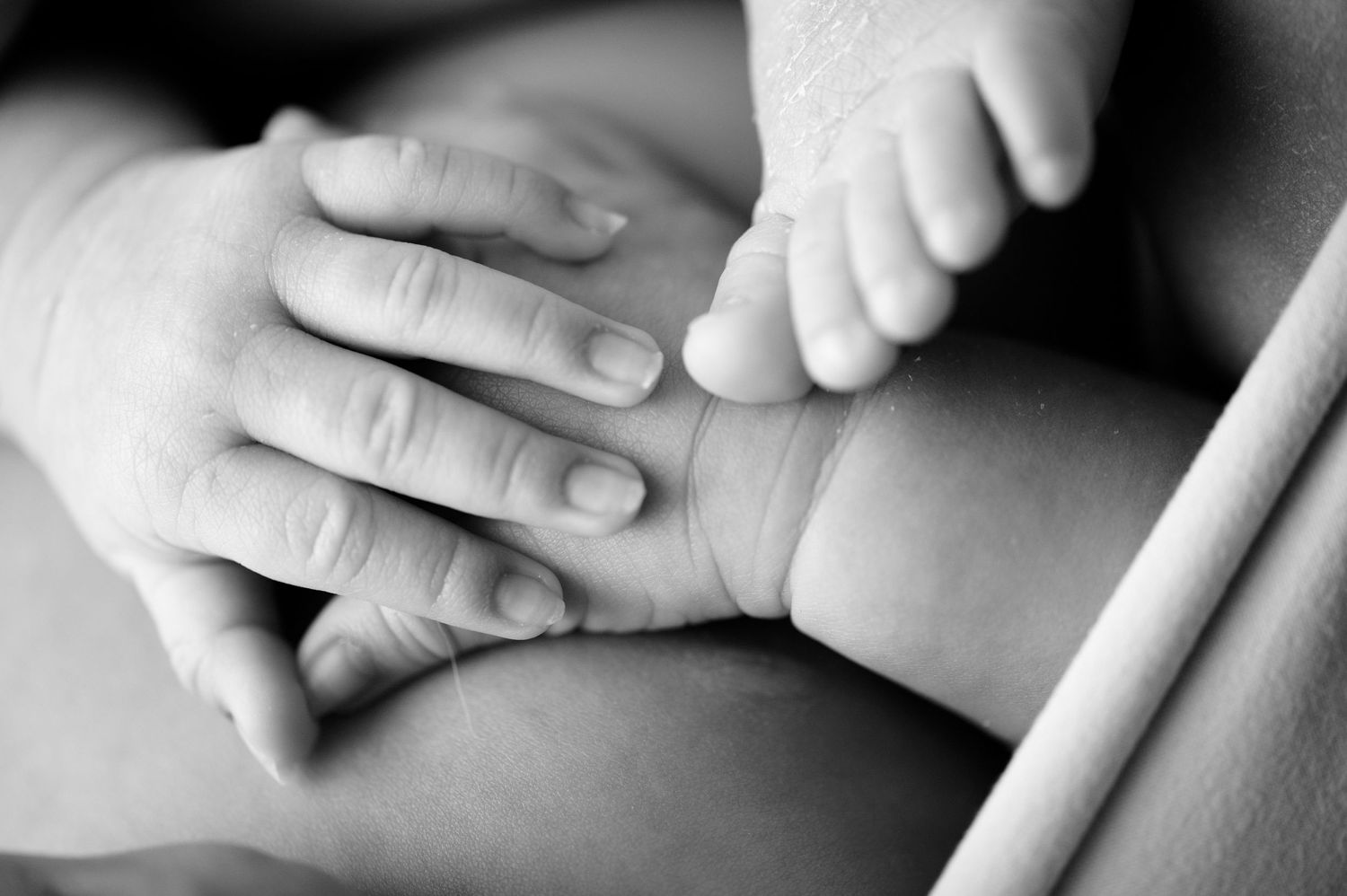 Black and white detail shots of tiny newborn fingers and hands.
