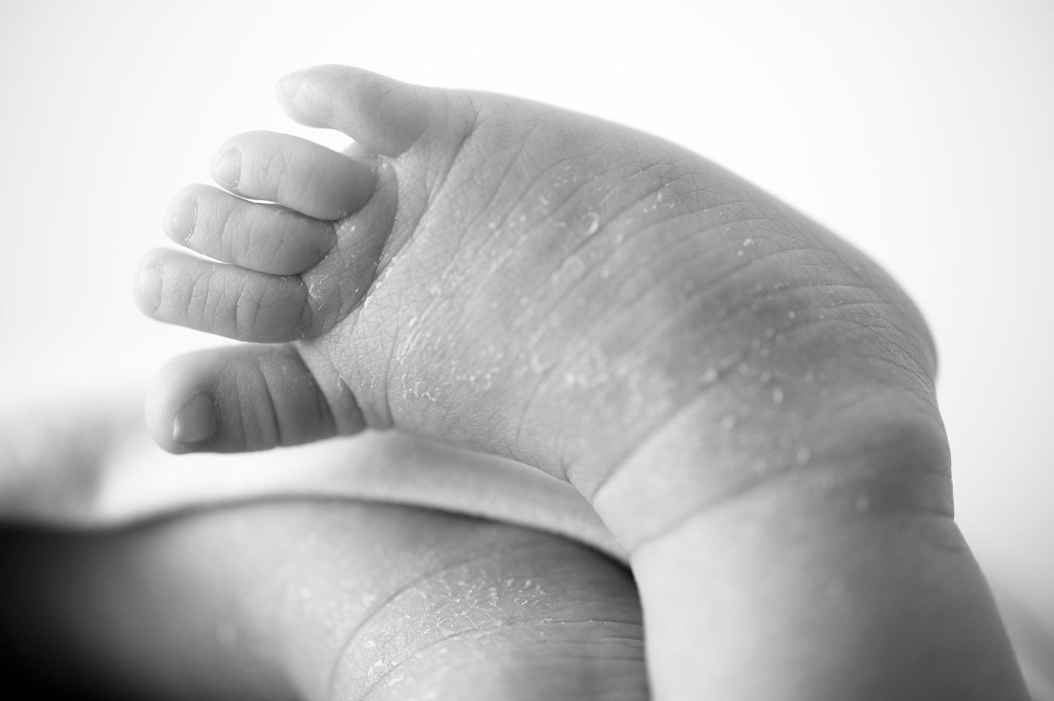 Close-up black and white photographs of newborn baby feet and toes.