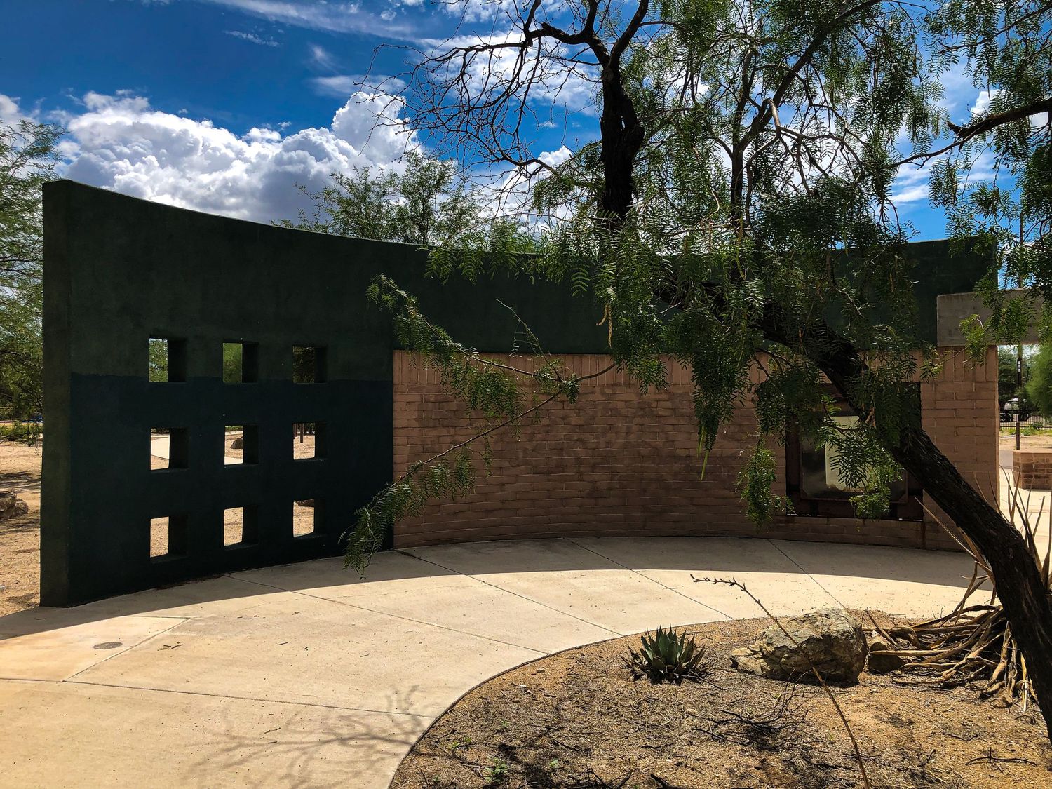 Central Tucson there are places for great photo shoots, try the Rio Vista Natural Resource Park.