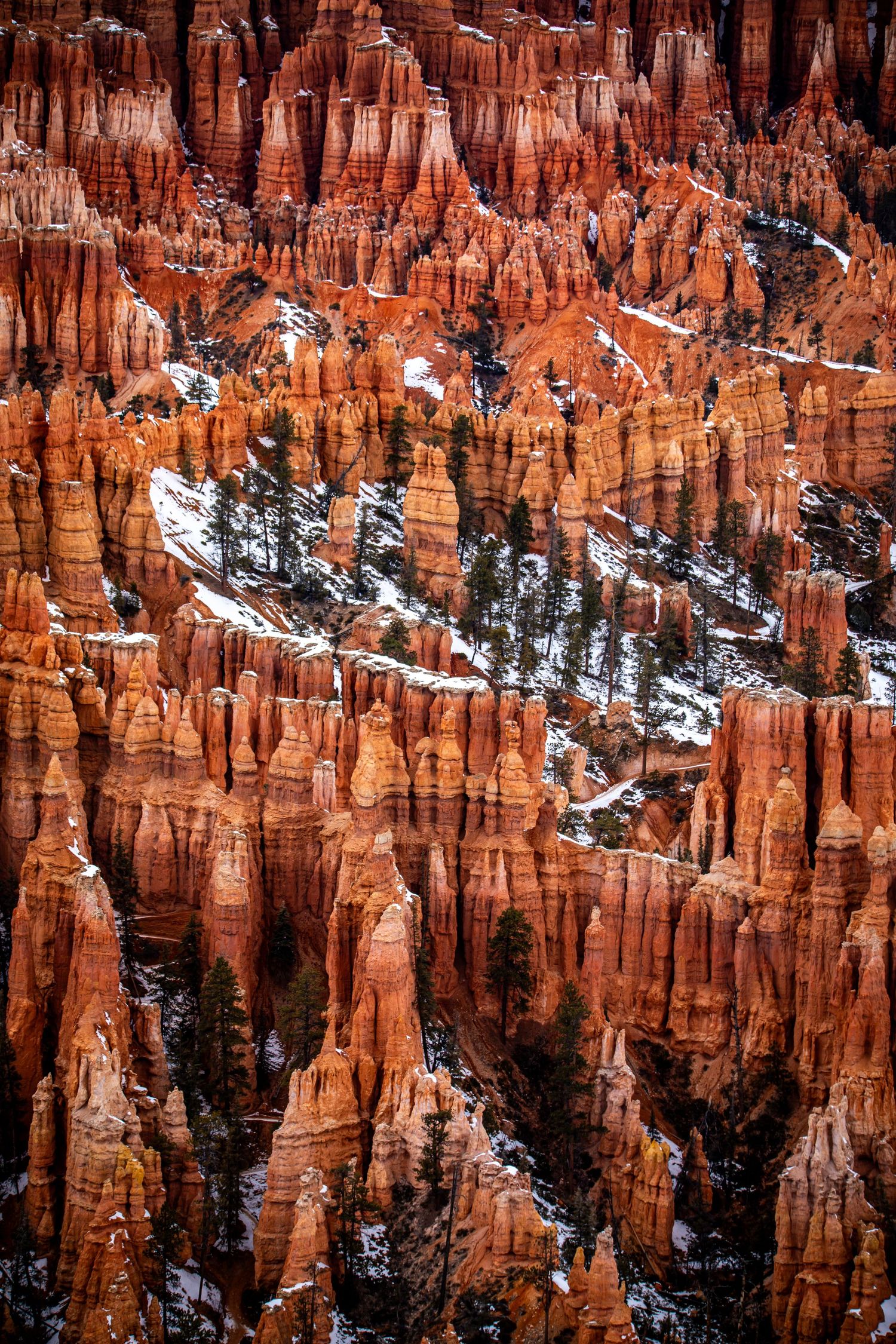 Snow dusted red rock formations and hoodoos in Bryce Canyon National Park contrasting against dark shadows.