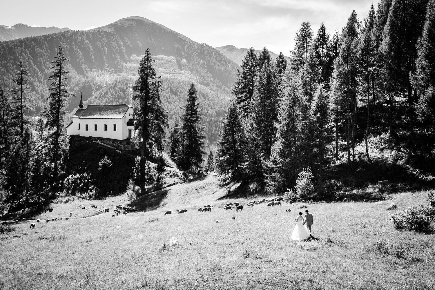 TLOOK photographe de mariage de style documentaire, portrait des mariés dans la nature en valais