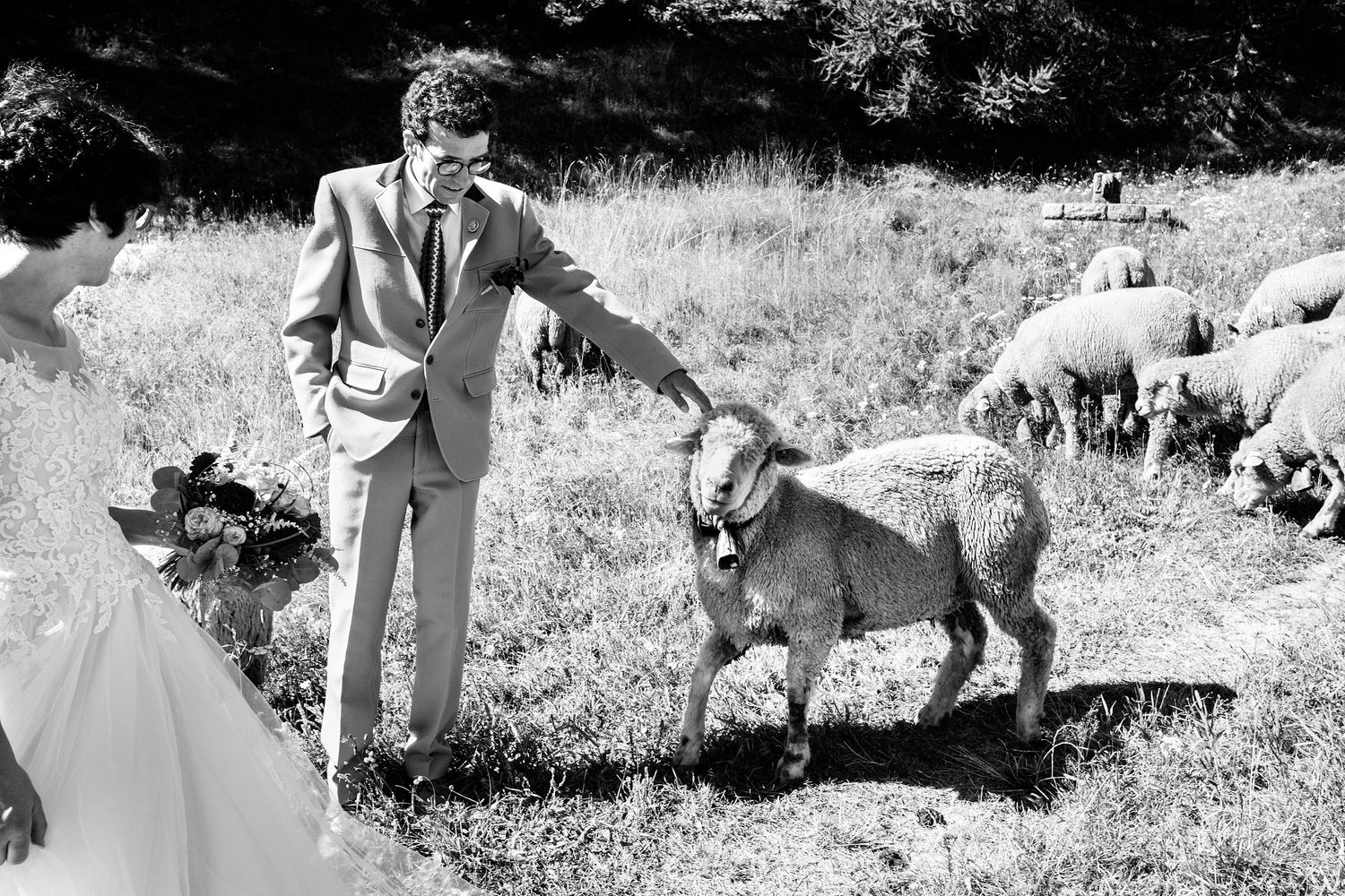 TLOOK photographe de mariage de style documentaire, portrait des mariés dans la nature en valais