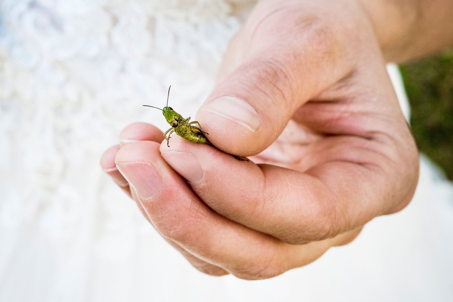 TLOOK photographe de mariage de style documentaire, portrait des mariés dans la nature en valais