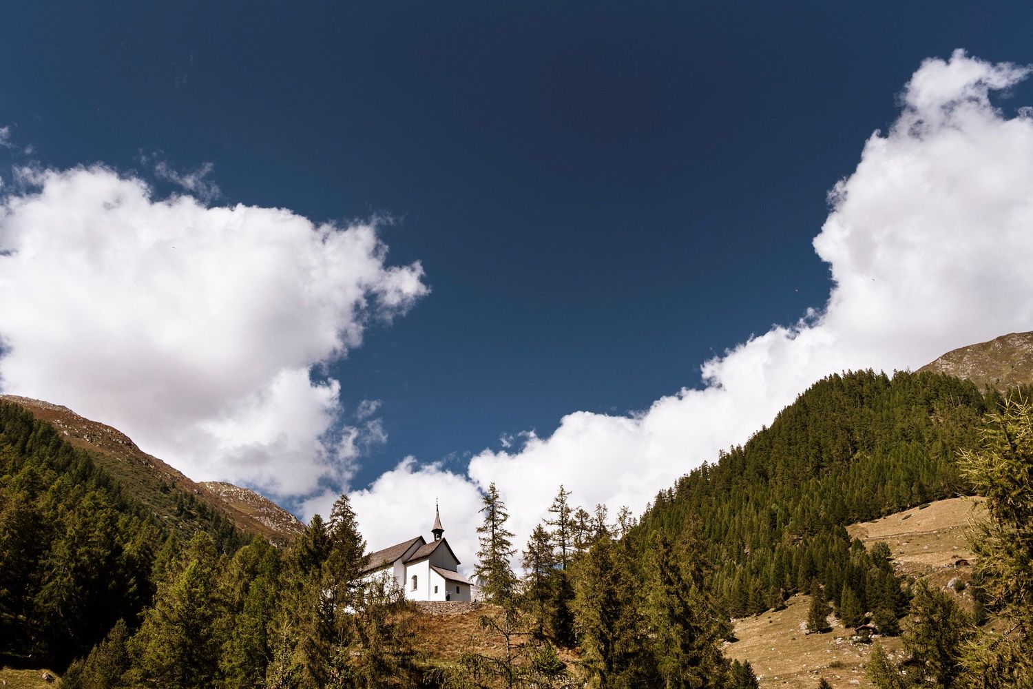 TLOOK photographe de mariage de style documentaire, portrait des mariés dans la nature en valais