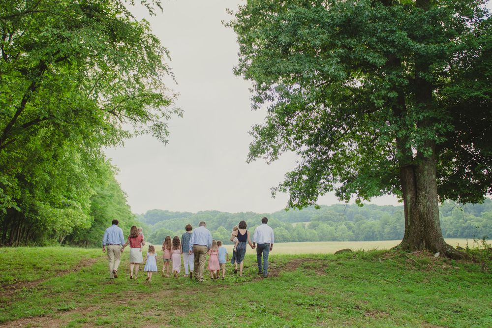 People walking together under large shade tree in green summer landscape.