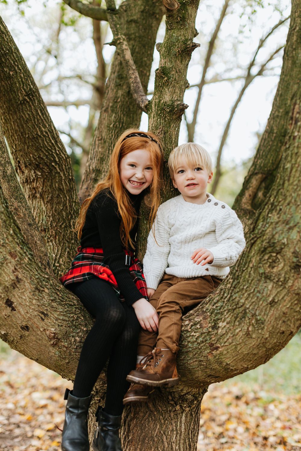 Two people sitting in the natural curve of a large tree trunk during autumn.