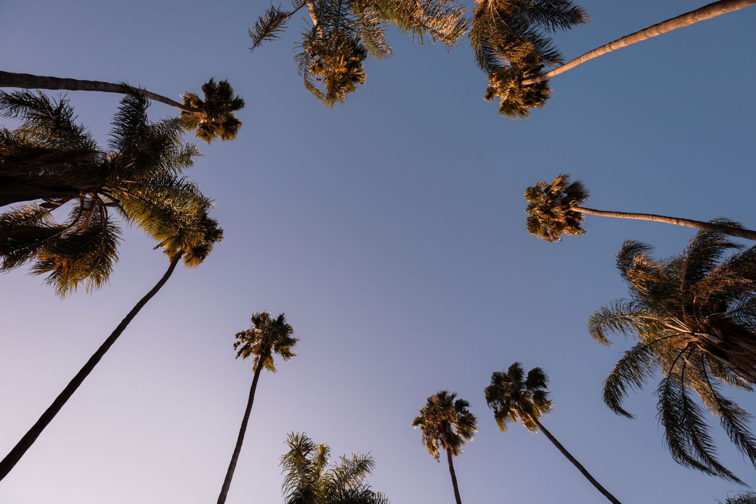 Fairmount Park Riverside California Photography