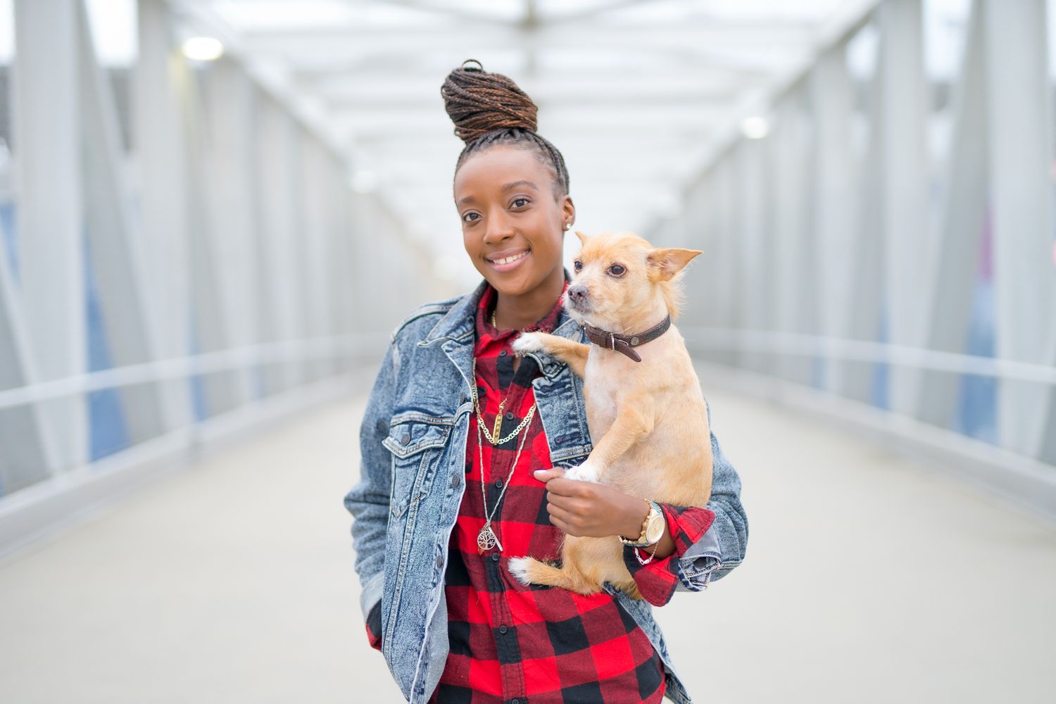 Person in denim jacket and plaid shirt holding small tan chihuahua mix dog in bright hallway.