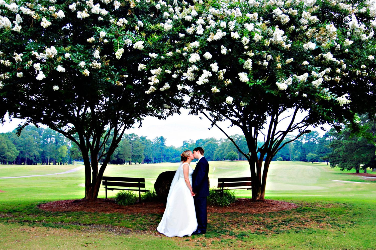 Bride and groom wedding portrait under a tree photo by Columbia, SC, wedding photographer Jeff Blake