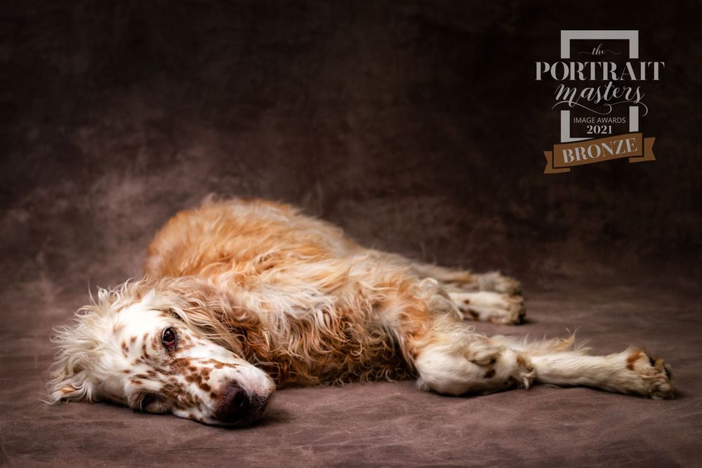 Portrait Masters Awards photo