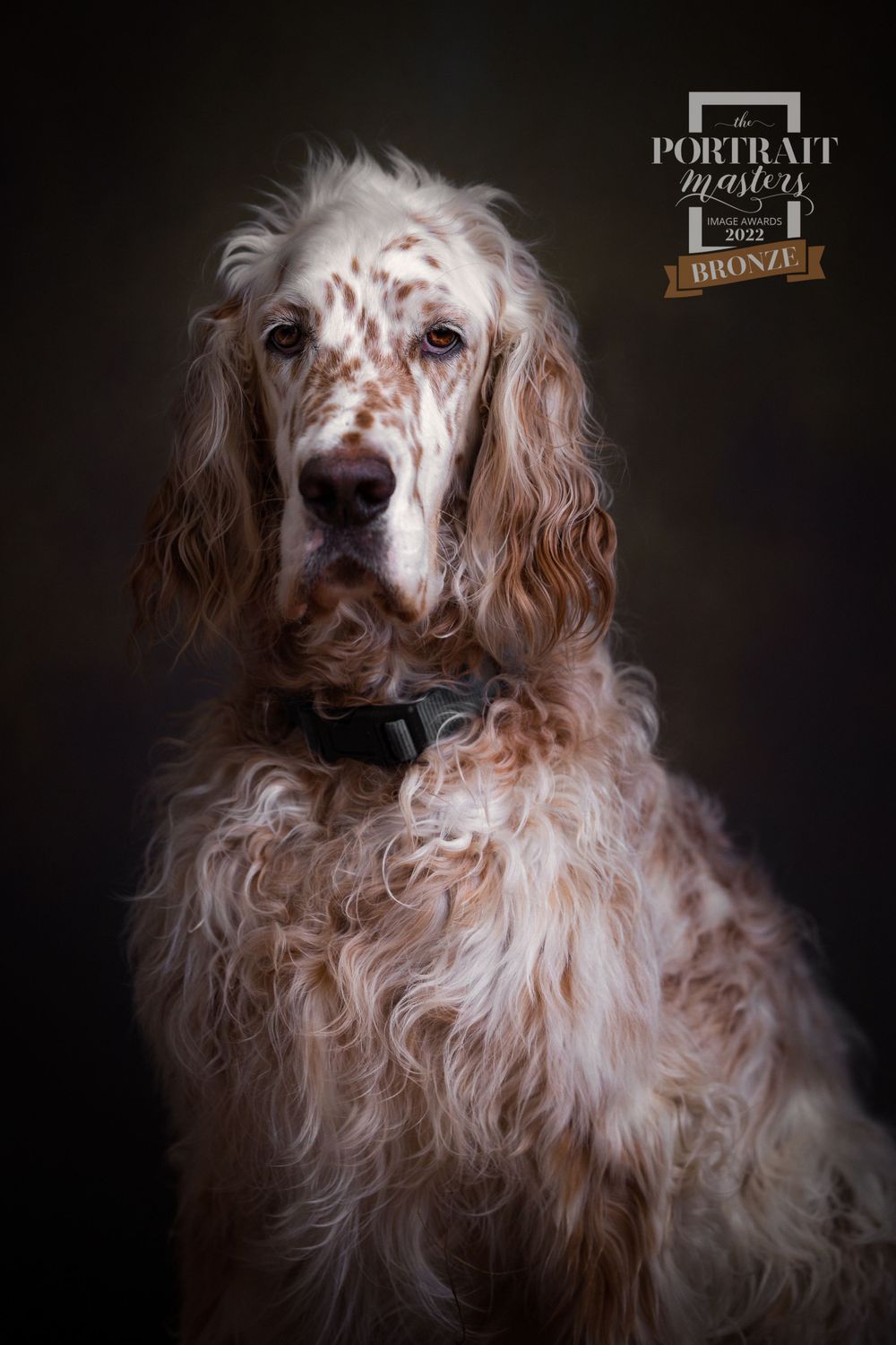 Portrait Masters Awards photo