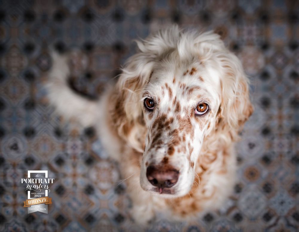 Portrait Masters Awards photo