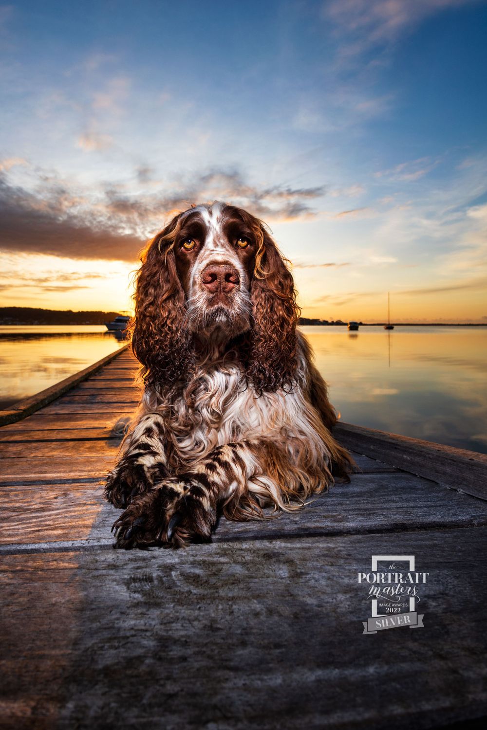 Portrait Masters Awards photo