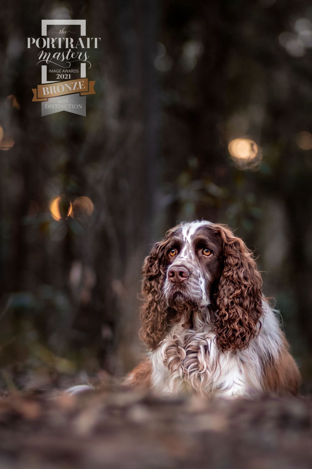 Portrait Masters Awards photo