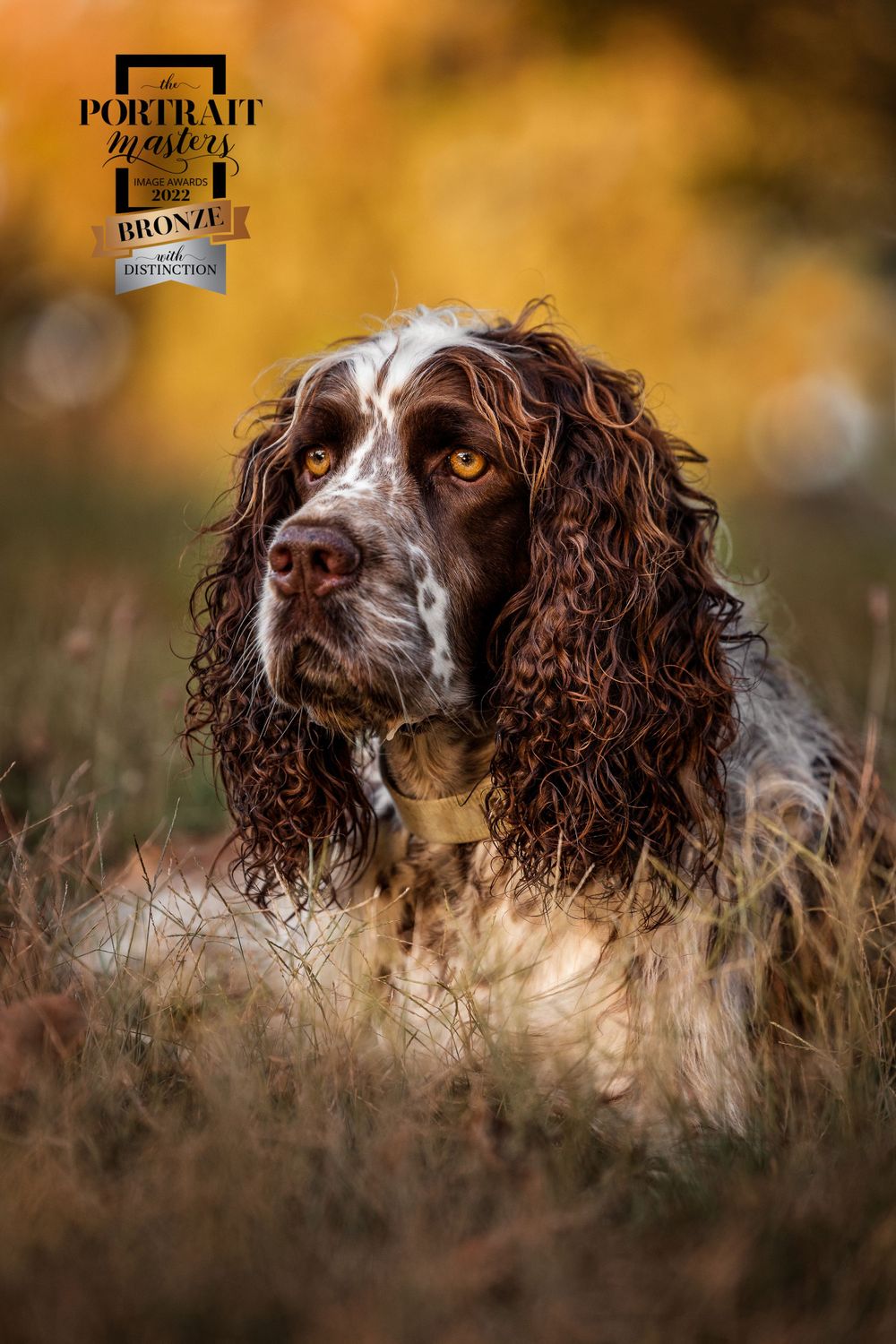 Portrait Masters Awards photo
