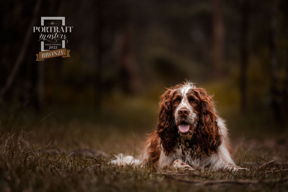Portrait Masters Awards photo