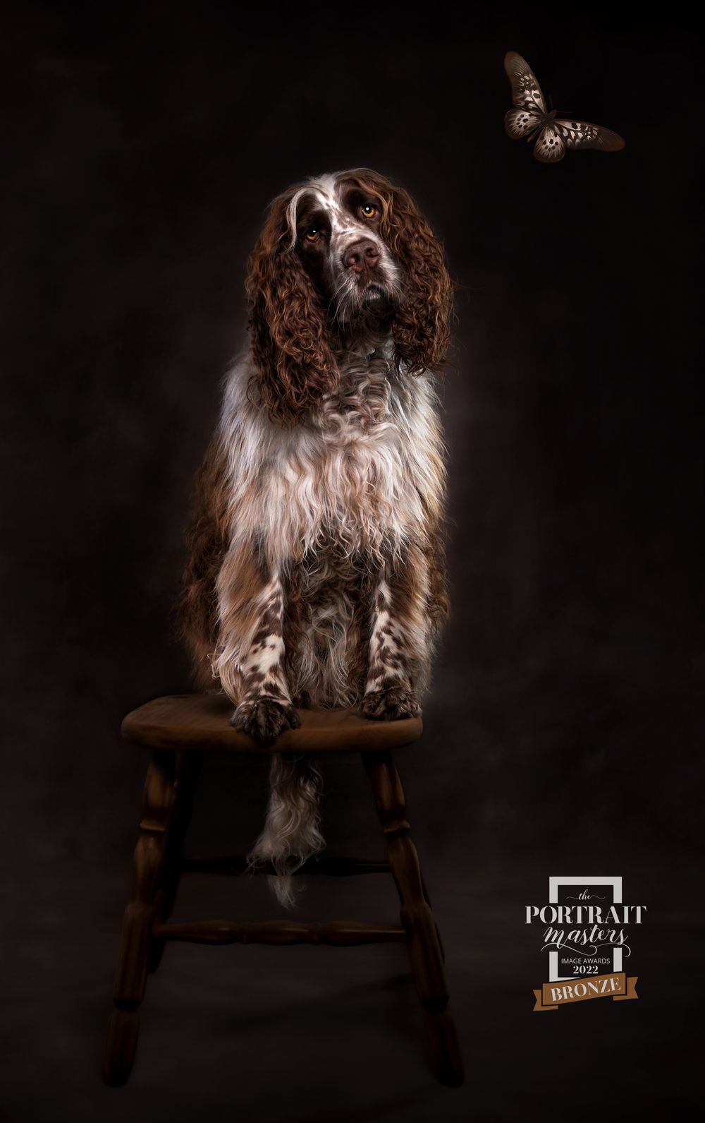 Portrait Masters Awards photo
