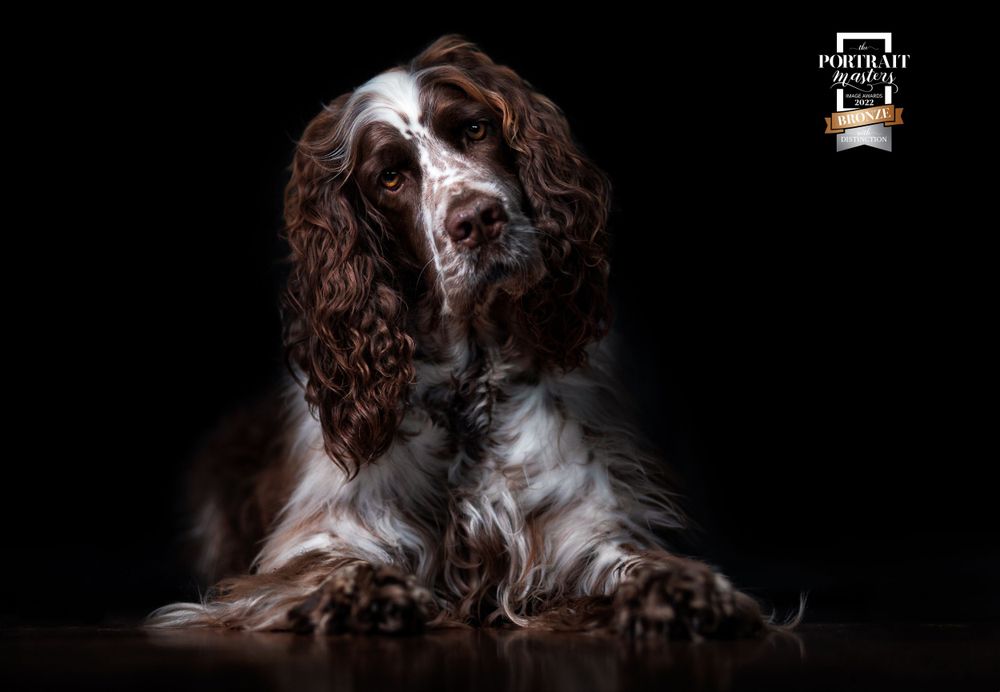 Portrait Masters Awards photo