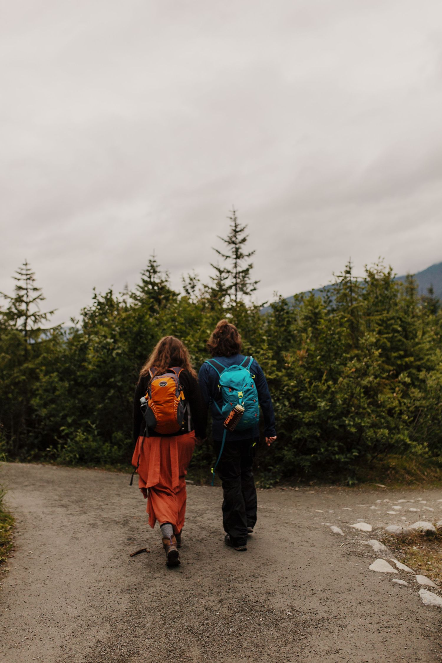 Two hikers with backpacks walking mountain trail through evergreen forest.
