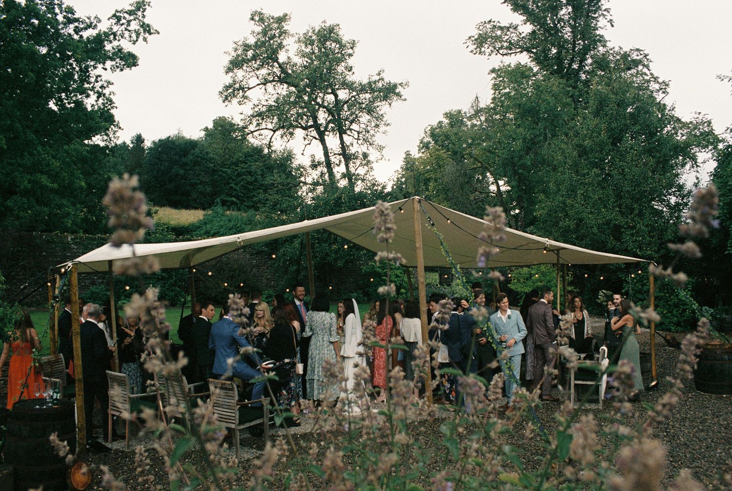 35mm film photographer wales