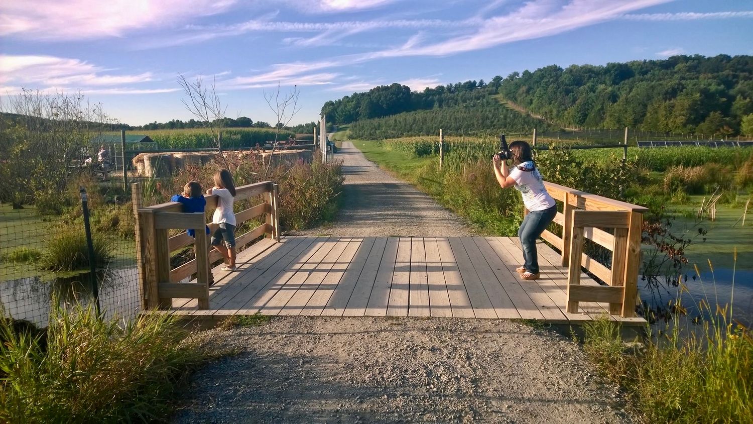 People taking photos on a wooden boardwalk bridge over wetlands during sunset.