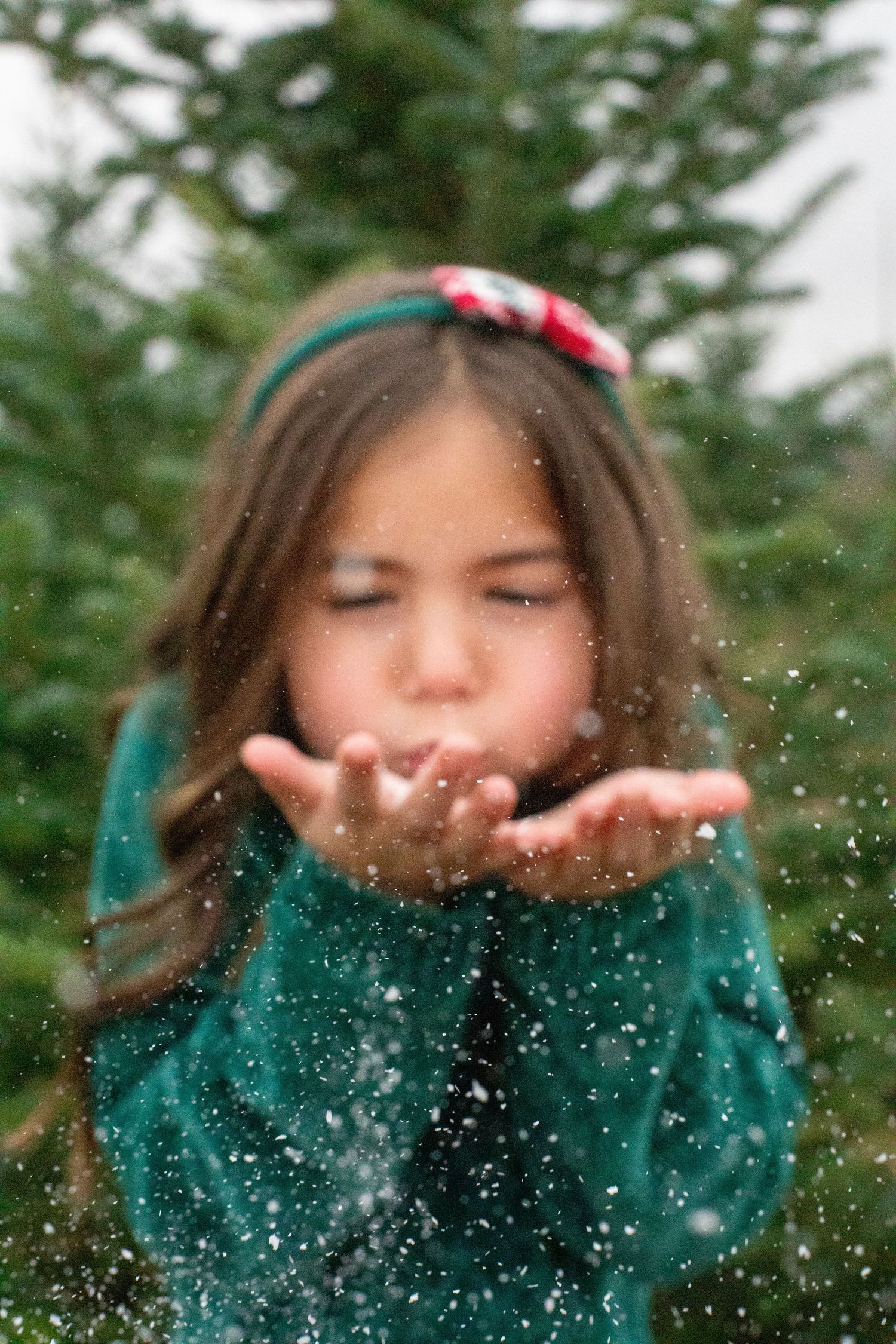 contact-wild-rose-photography