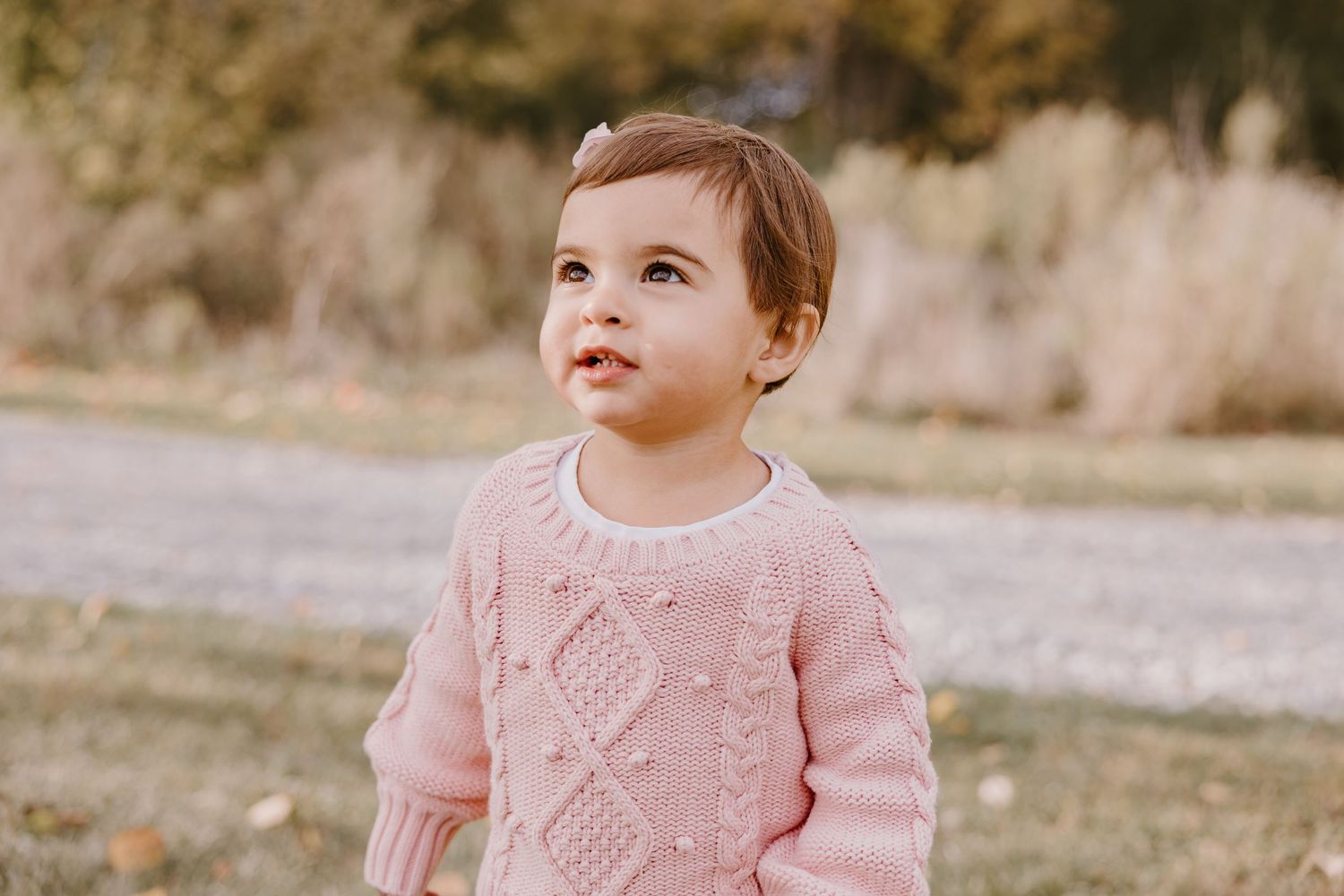 A toddler in a pink knit sweater looks up with wonder while standing outdoors on an autumn day.