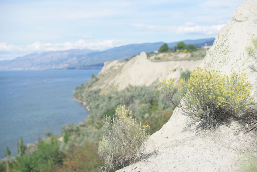 A scenic cliff overlooks Okanagan Lake with mountains in the distance.