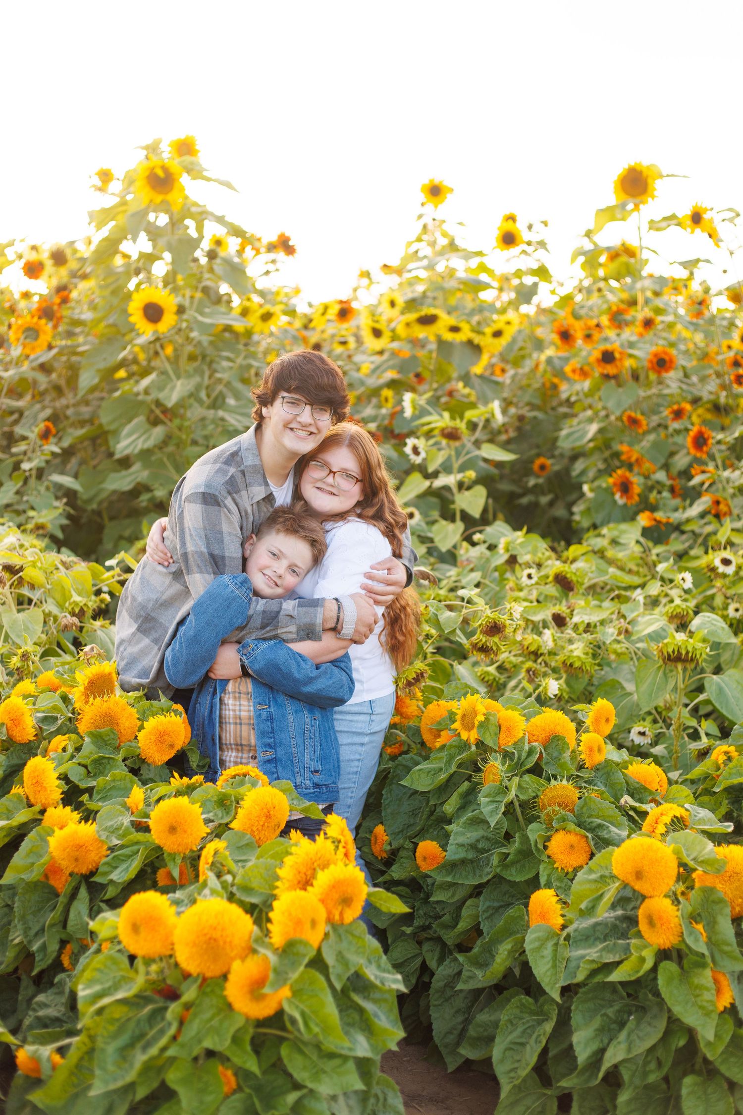 sunflower sessions are something magical