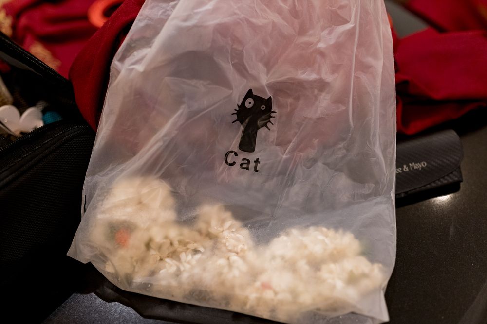 A South Indian Bengali wedding with a pet cat at Taj West End, Bengaluru