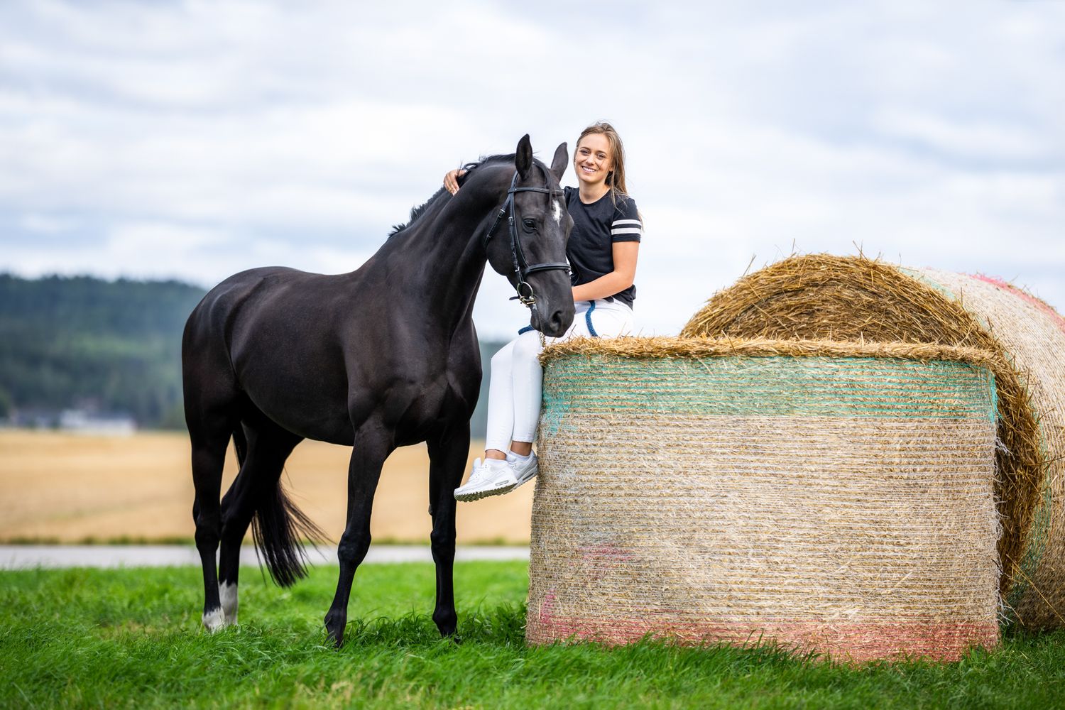 Black horse standing next to a large round hay bale in a rural field setting.