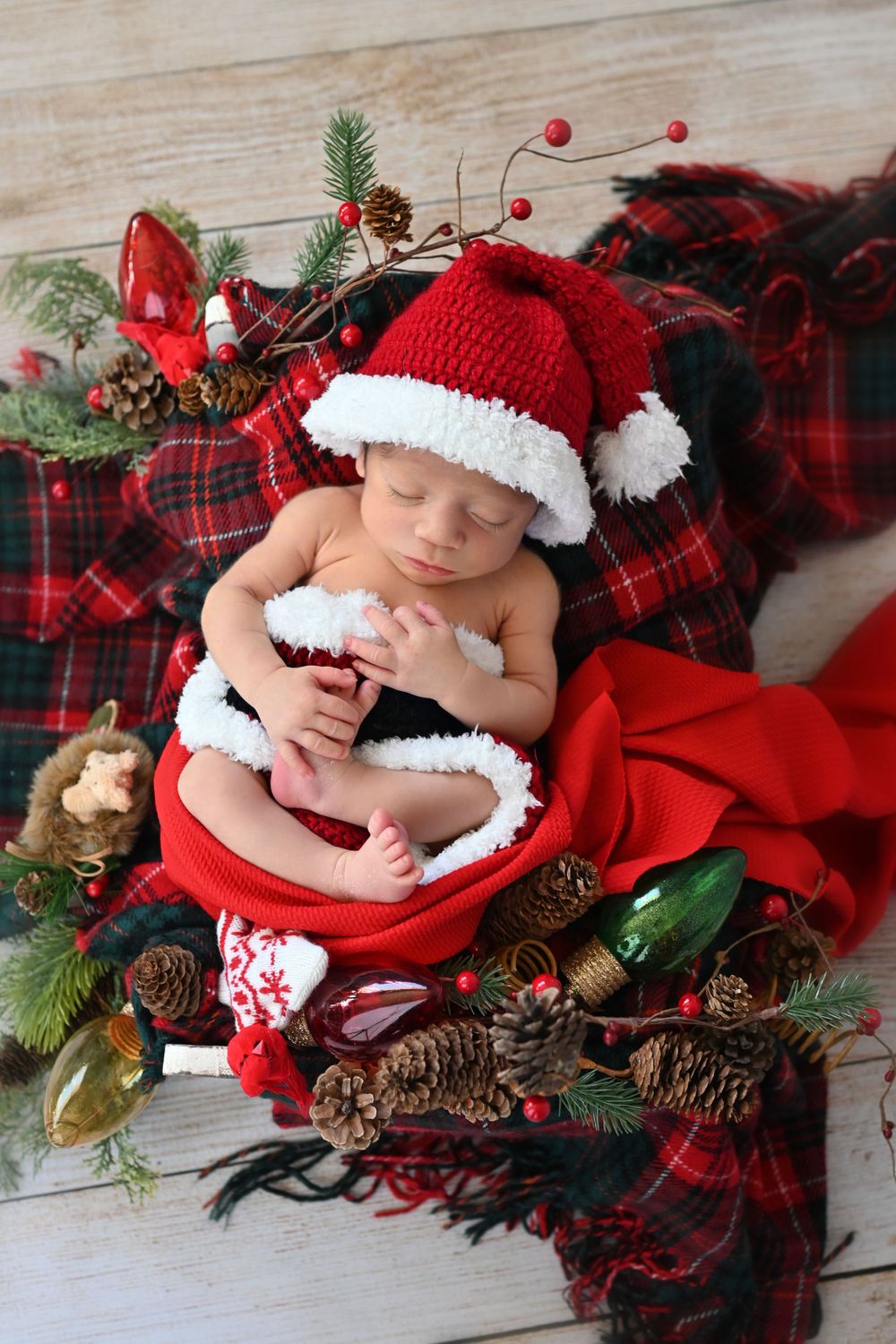 Newborn Christmas photo with baby in Santa hat on red plaid blanket with pinecones.