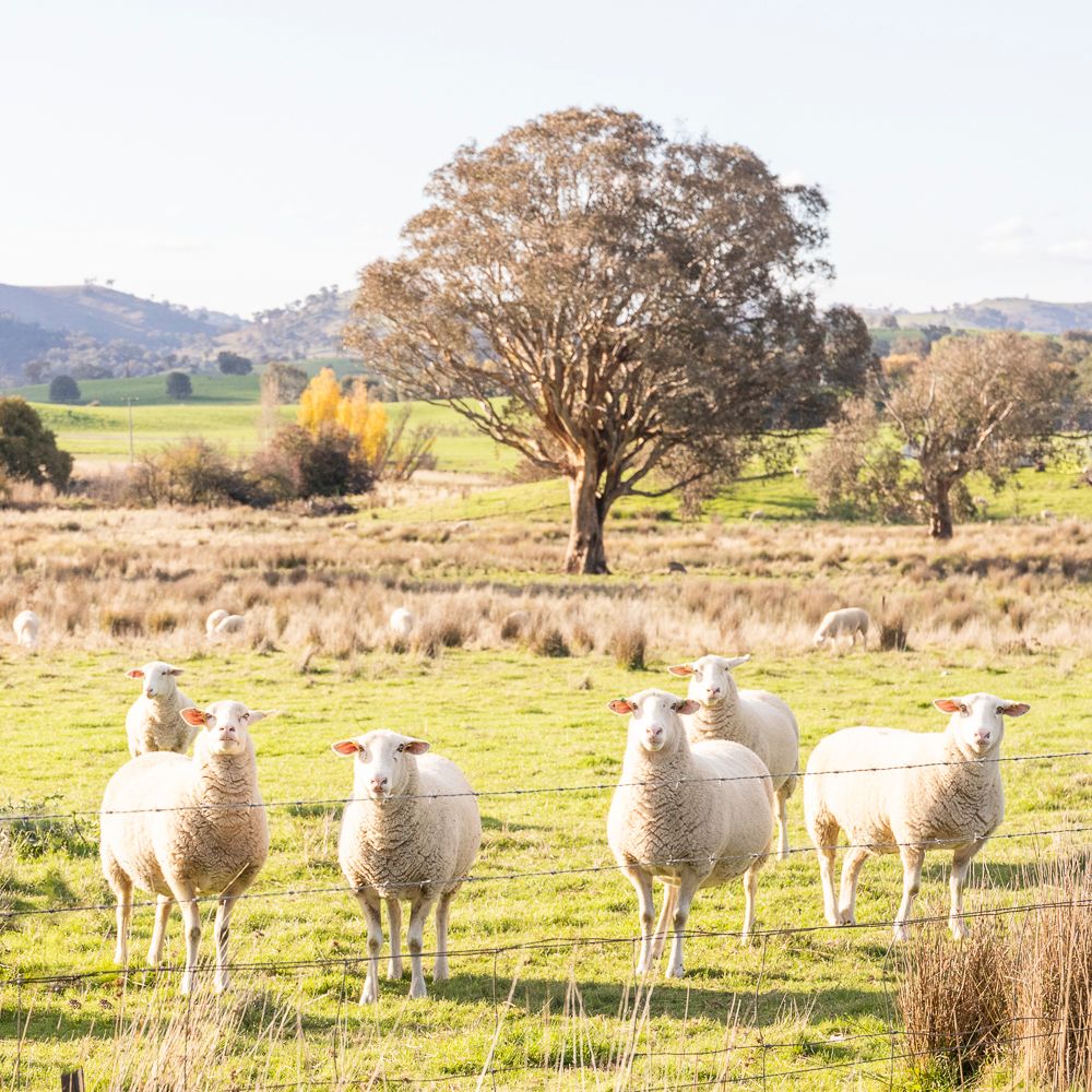 October - Em Callaghan Photography