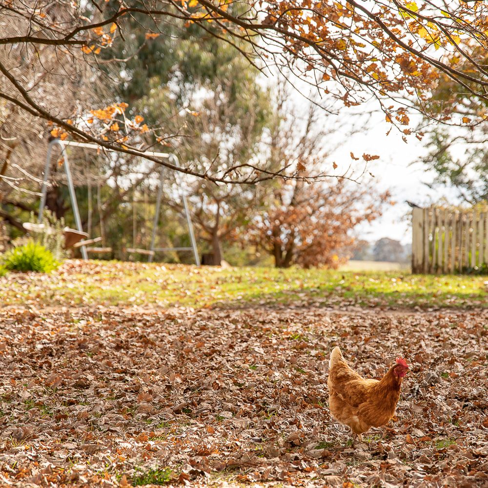April - Em Callaghan Photography