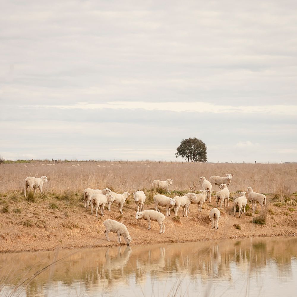 January - Em Callaghan Photography