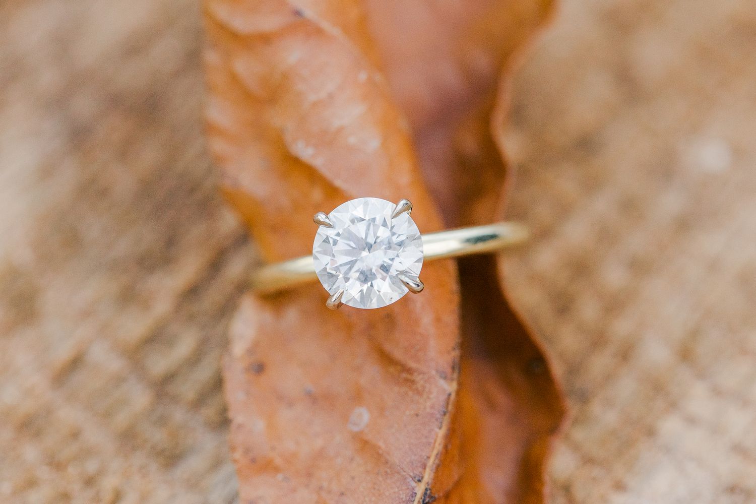 ROCK CREEK PARK ENGAGEMENT PICTURES